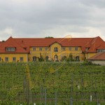 Bild0079 - Weingut in der Wachau