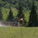 Bild0135 - Esztergom - Heuernte