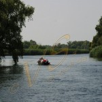 Bild0425 - Donaudelta