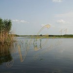 Bild0504 - Donaudelta