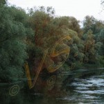 Bild0511 - Donaudelta - Hotelschiff