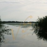 Bild0523 - Donaudelta