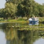 Bild0538 - Donaudelta - Letea