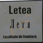 Bild0539 - Donaudelta - Letea