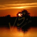 Bild0602 - Donaudelta - Sonnenuntergang