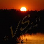 Bild0603 - Donaudelta - Sonnenuntergang